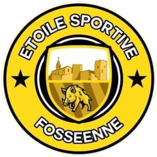 esfos-etoile_sportive_fosseenne https://oac.agartaworld.com/wp-content/uploads/2025/11/esfos-etoile_sportive_fosseenne-320x320.png